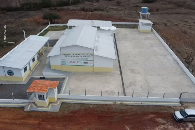 Agroindústrias Familiares em Tucano: Um Marco para a Agricultura Familiar na Bahia