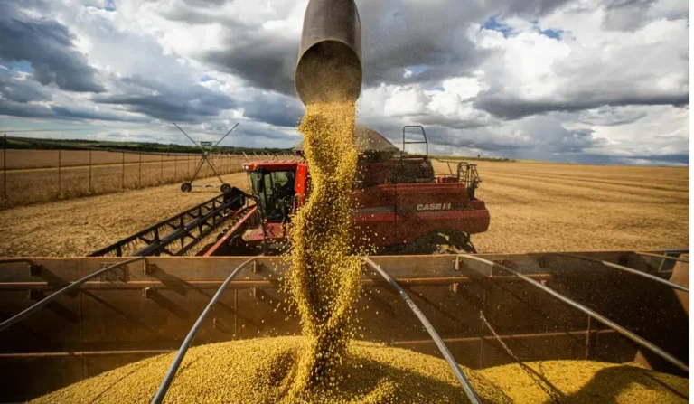 Agronegócio: De Recordes em 2025 à Estagnação em 2026; Entenda o Cenário Agronegócio: De Recordes em 2025 à Estagnação em 2026; Entenda o Cenário