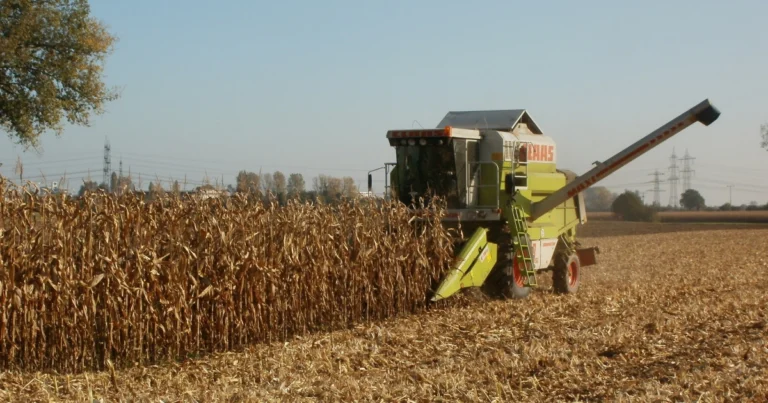 CMN Prorroga Regras Ambientais para Crédito Rural: Novos Prazos e Diretrizes
