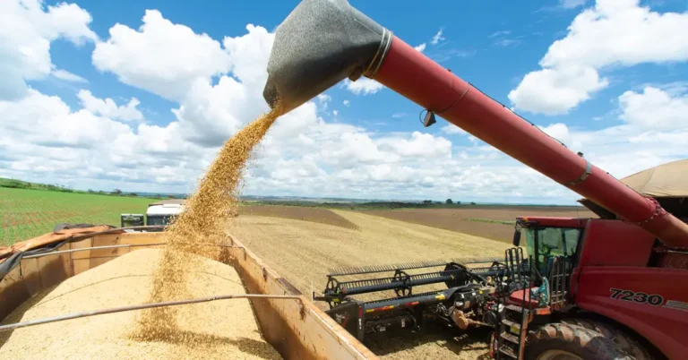 Desafios do Agronegócio em 2026: O Olhar da CNA sobre o Governo Lula Desafios do Agronegócio em 2026: O Olhar da CNA sobre o Governo Lula