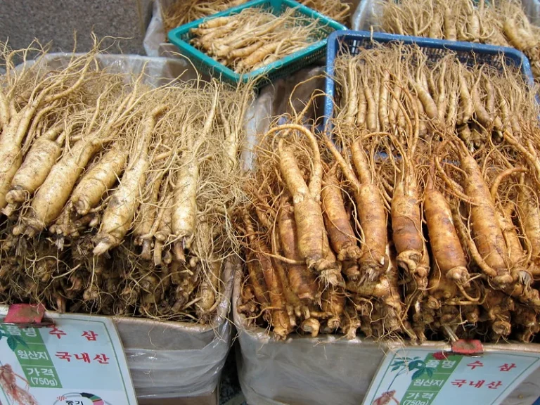 Ginseng: A Raiz da Imortalidade e Seu Impacto nos Suplementos Alimentares Ginseng: A Raiz da Imortalidade e Seu Impacto nos Suplementos Alimentares