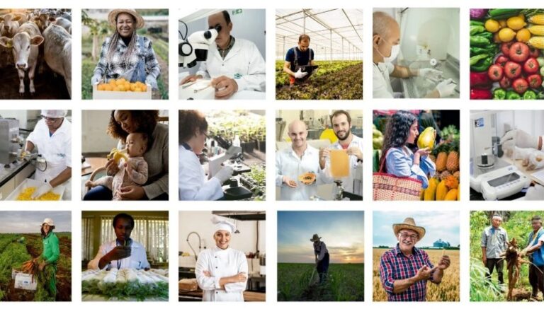 Reforço Orçamentário de 26,7% Fortalece a Embrapa para o Agronegócio em 2026