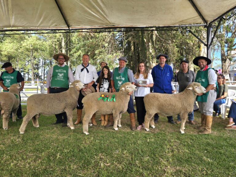 42ª Feovelha: Um Marco no Agronegócio e Entretenimento com o 'Feovelha Show'