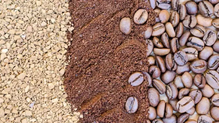 Acordo Mercosul-União Europeia: Agronegócio Brasileiro Ganhará Com Tarifas Zeradas