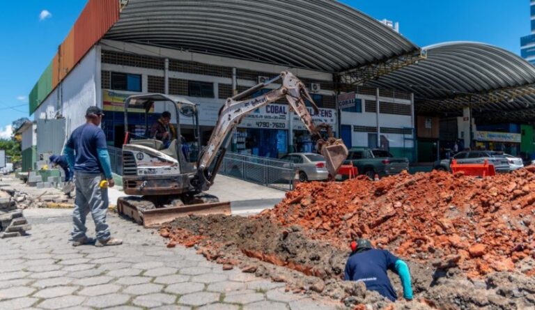 Agricultura de Mogi Das Cruzes Destaca Avanços em Infraestrutura e Segurança Alimentar