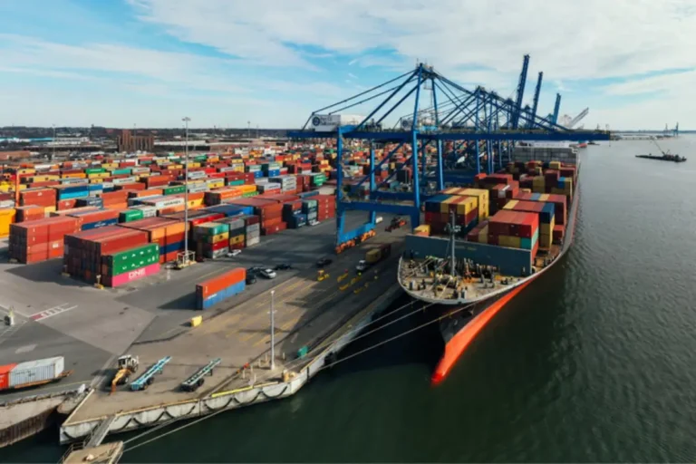 Agronegócio Brasileiro Registra 527 Novas Aberturas de Mercado em 2024