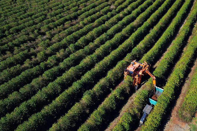 Agronegócio em Alta: R$ 1,26 Bilhão em Contratações do BRDE no Paraná em 2025 Agronegócio em Alta: R$ 1,26 Bilhão em Contratações do BRDE no Paraná em 2025