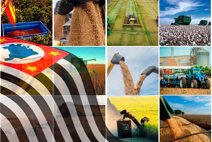 Agronegócio Paulista Alcança Superávit de US$ 23 Bilhões em 2025 e Fortalece Presença Internacional Agronegócio Paulista Alcança Superávit de US$ 23 Bilhões em 2025 e Fortalece Presença Internacional