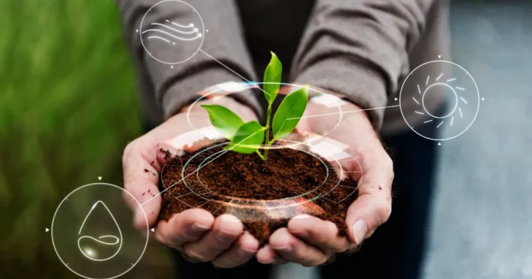 COP30: Agronegócio Brasileiro em Evidência na Agenda Climática Global