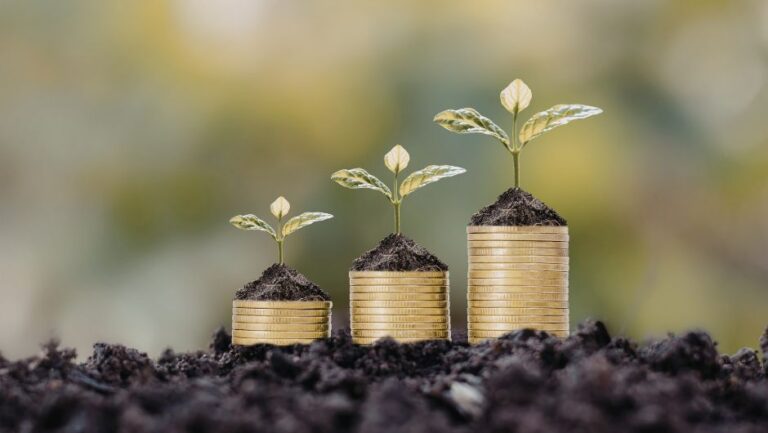 Endividamento no Agronegócio Aumenta e Alerta Produtores: Entenda a Situação