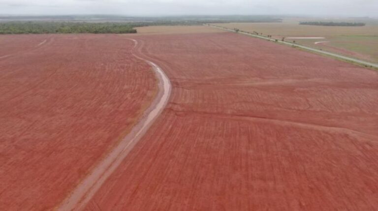 FCO Investe R$ 3,2 Bilhões em Mato Grosso do Sul: Agronegócio Recebe 75% dos Recursos