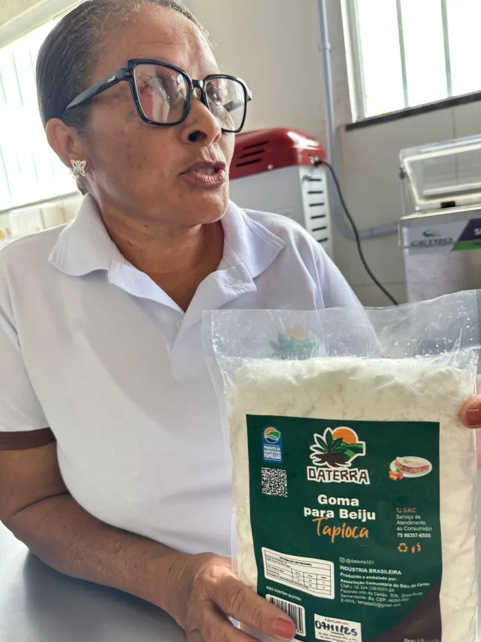 Intercâmbio Potencializa Produção de Mandioca na Agricultura Familiar da Bahia Intercâmbio Potencializa Produção de Mandioca na Agricultura Familiar da Bahia