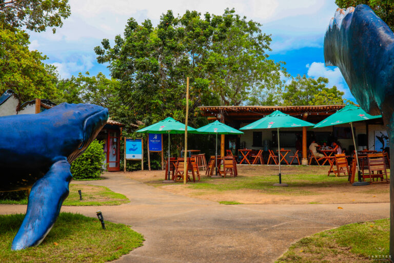 Livro e Reggae: Uma Celebração Cultural no Espaço Baleia Jubarte