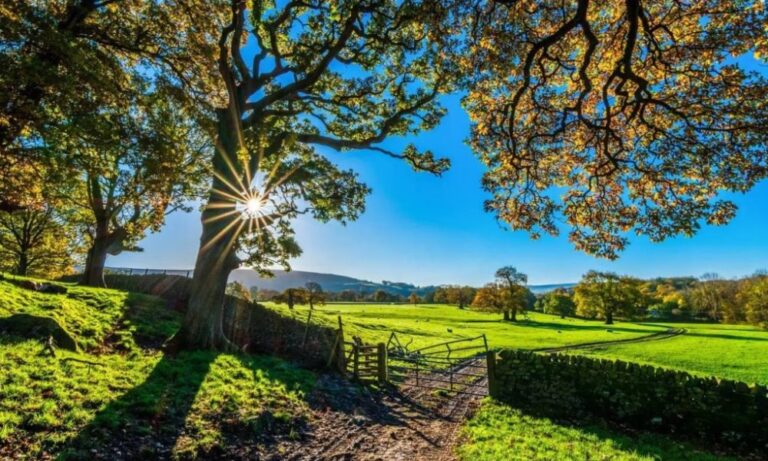 Regras Ambientais: Um Novo Paradigma para o Agronegócio em 2026