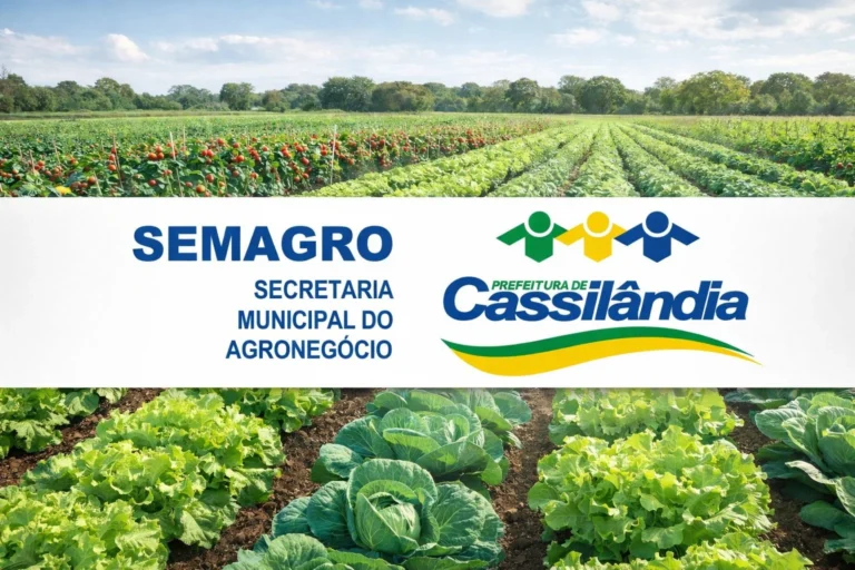 Secretaria do Agronegócio de Cassilândia Realiza Pesquisa para Impulsionar o Mercado Hortifruti