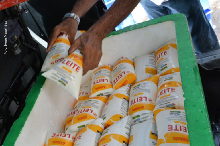 SEDESO Distribui Mais de 600 Mil Litros de Leite em 2025 e Amplia o PAA-Leite em Feira de Santana