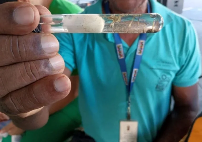 Vacinação contra Dengue no SUS: Profissionais de Saúde Receberão Imunização em Fevereiro