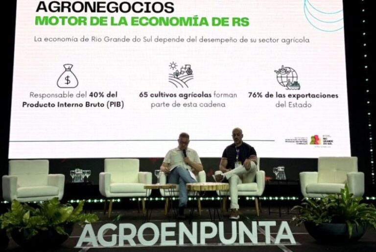 A Força do Agronegócio Gaúcho na Economia do Estado: Um Destaque Necessário