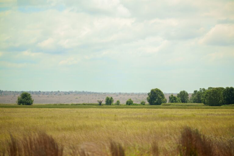 Cooperação Brasil-Angola: A Nova Fronteira Agrícola em 2024