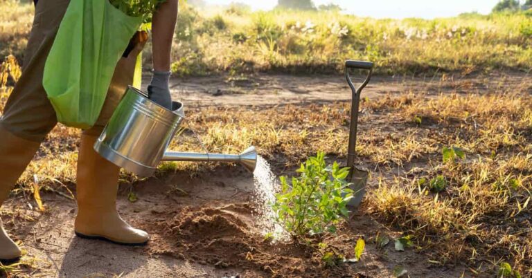 Crescimento do Consumo de Água no Agronegócio: Impactos e Desafios para Carne e Soja