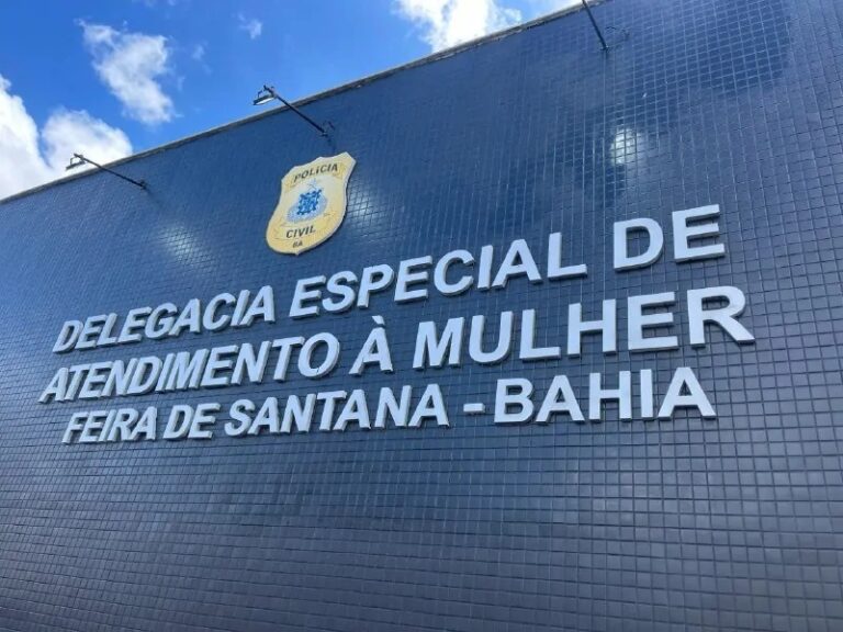 Delegada Prende Homem em Flagrante por Agressão à Companheira na Bahia