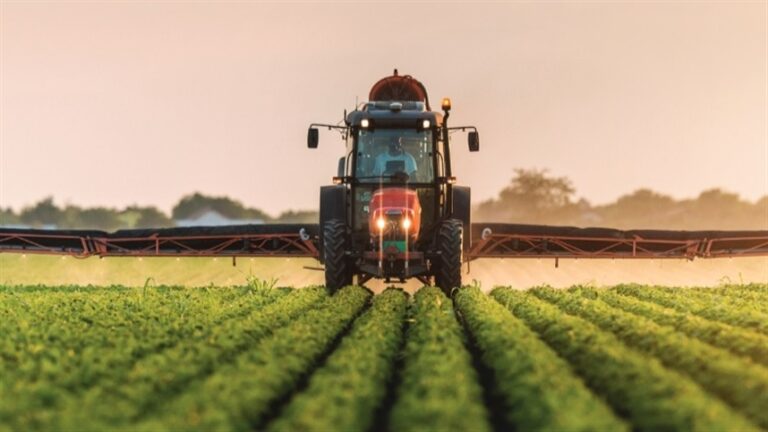 Dia do Agronegócio: Importância do Setor na Economia Brasileira Dia do Agronegócio: Importância do Setor na Economia Brasileira