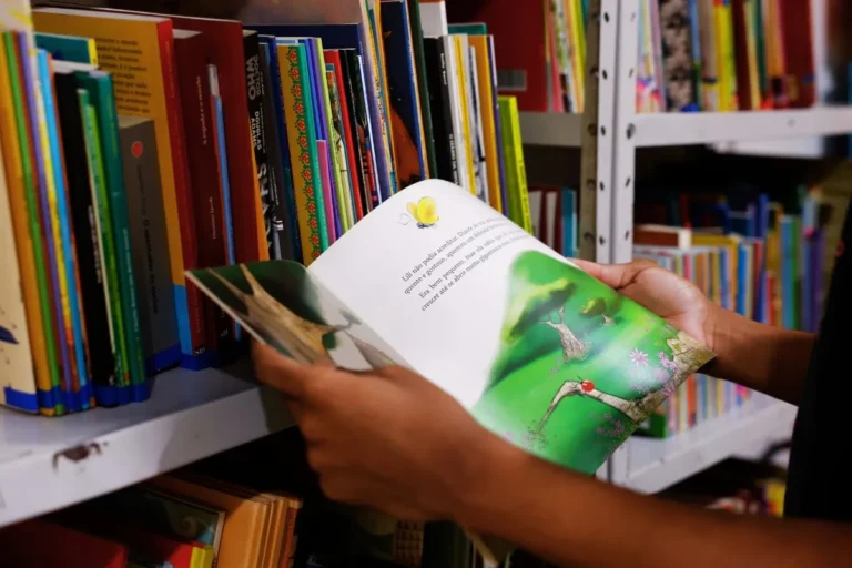 Entenda a Educação no Brasil: Histórico, Sistema e Desafios Cruciais