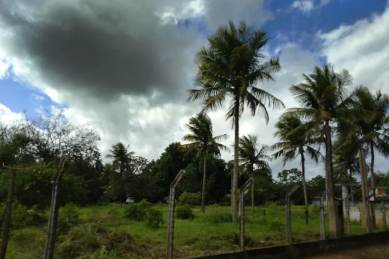 Feira de Santana em Alerta Laranja: Chuvas Intensas e Apagões Ameaçam o Fim de Semana