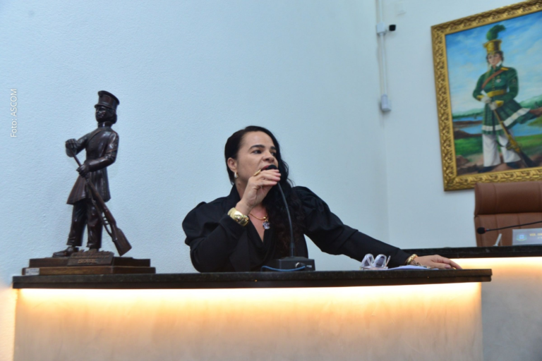 Feira de Santana Intensifica Luta Contra o Feminicídio: Propostas de Articulação para Proteção das V