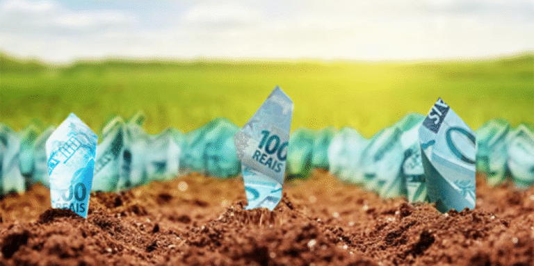 Impactos das Mudanças no Sistema Financeiro sobre o Crédito Rural e o Agronegócio Impactos das Mudanças no Sistema Financeiro sobre o Crédito Rural e o Agronegócio