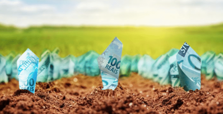 Mudanças no Sistema Financeiro: Impactos no Crédito Rural e no Agronegócio