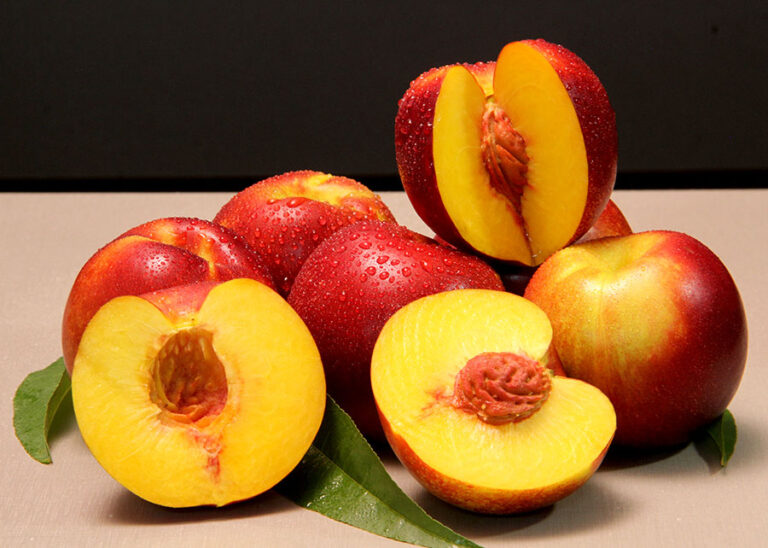 Nova Nectarina Brasileira Promete Sabor e Renda no Campo