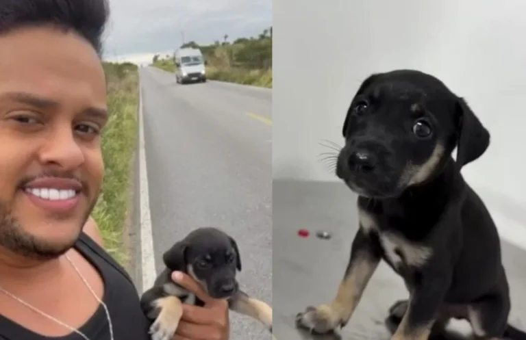 Thiago Aquino Adota Filhote de Cachorro Abandonado Após Show na Bahia
