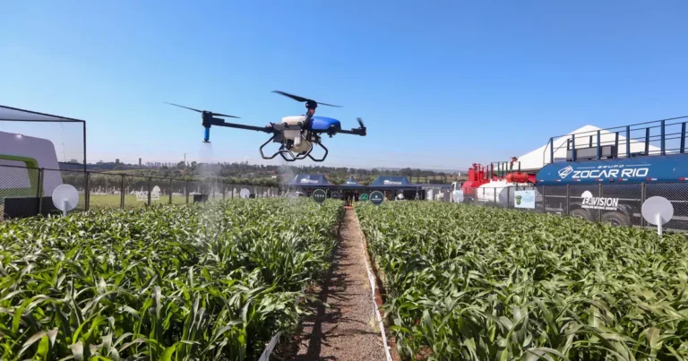 Agronegócio Lidera Reputação Corporativa no Brasil em 2025