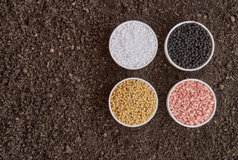 Alta dos Fertilizantes Pressiona Custos no Campo e Dificulta Relação de Troca para Produtores em 2026 Alta dos Fertilizantes Pressiona Custos no Campo e Dificulta Relação de Troca para Produtores em 202