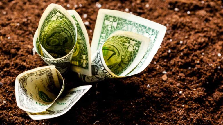 Cédulas de Produto Rural: R$ 561 Bilhões em Estoque e o Crescimento no Agronegócio