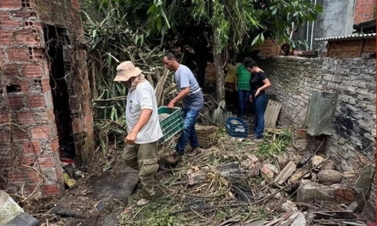 Cerca de 100 Jabutis Resgatados em Casa Abandonada na Bahia