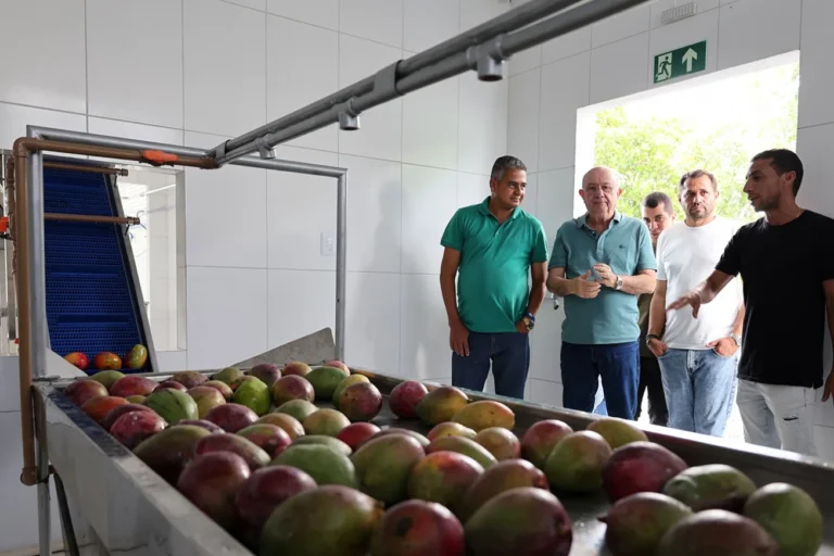 Crescimento da Produção Impulsiona Cooperativa de Agricultores e Pescadores em Feira de Santana Crescimento da Produção Impulsiona Cooperativa de Agricultores e Pescadores em Feira de Santana