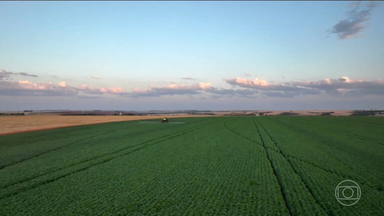 Crise no Oriente Médio Eleva Preços de Fertilizantes e Atraí Preocupações no Agronegócio Brasileiro Crise no Oriente Médio Eleva Preços de Fertilizantes e Atraí Preocupações no Agronegócio Brasileiro