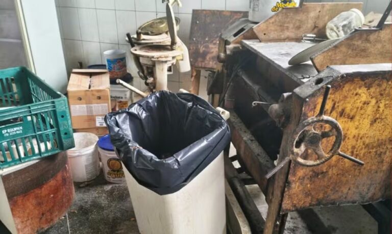 Delicatessen Interditada em Feira de Santana Aponta Riscos à Saúde Pública