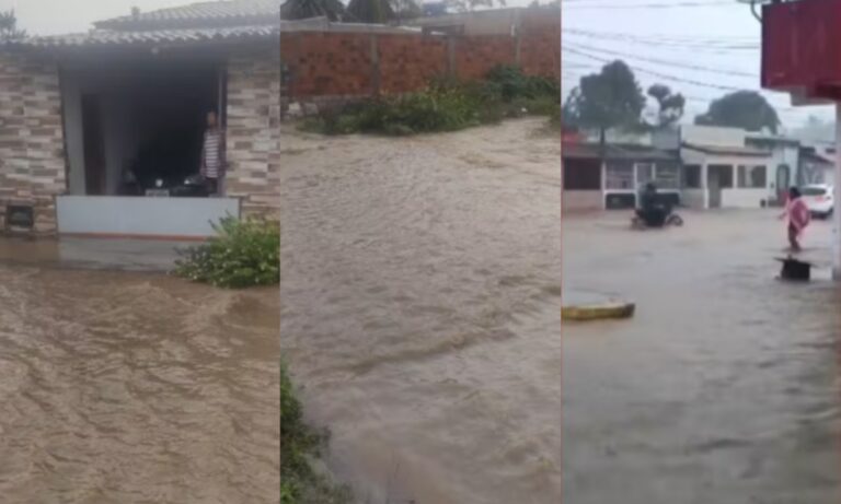 Desastres Naturais na Bahia: Chuvas Incessantes Causam Danos e Deslocamentos