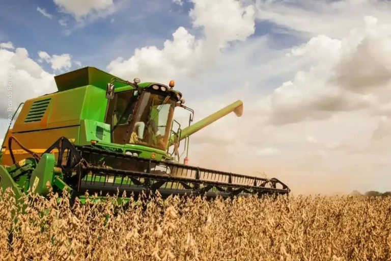 EUA Iniciam Investigação Comercial Contra o Brasil: Agronegócio em Risco de Tarifas EUA Iniciam Investigação Comercial Contra o Brasil: Agronegócio em Risco de Tarifas