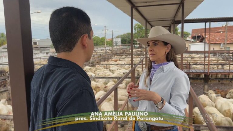 Expopec 2024: Tendências Inovadoras no Agronegócio de Pecuária de Corte em Porangatu