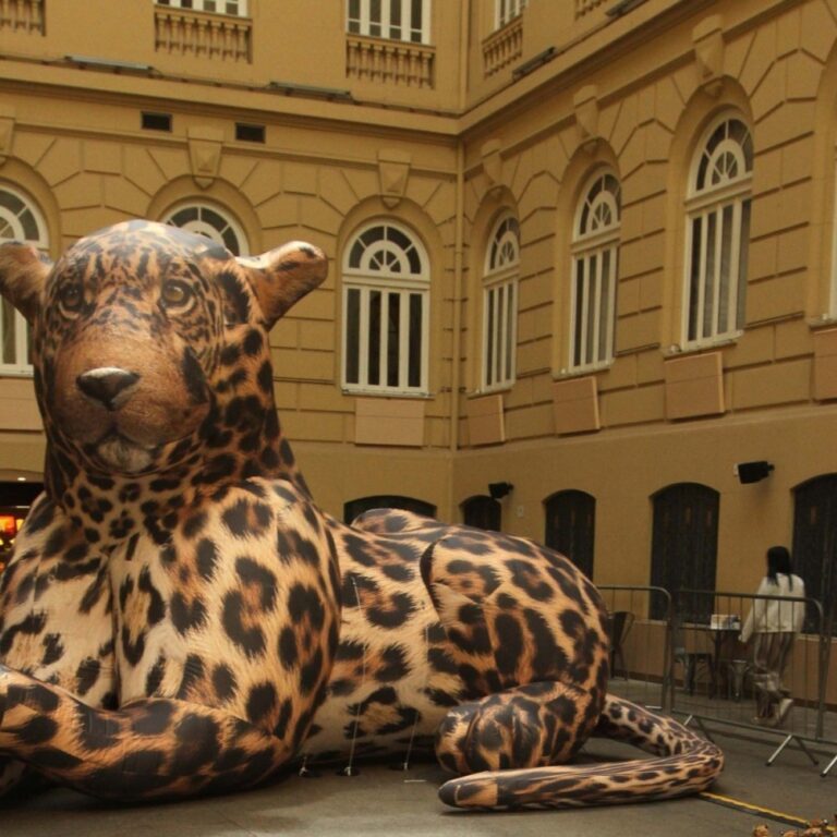 Exposição no CCBB BH Revela que Meme é Também Cultura