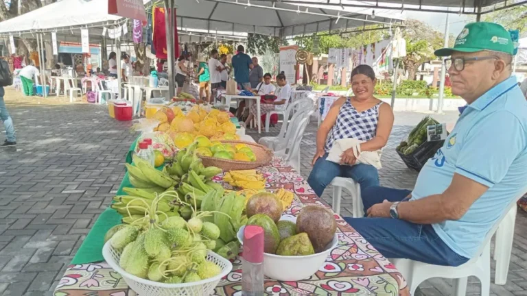 Feira de Economia Popular Solidária: Um Sucesso em Estância