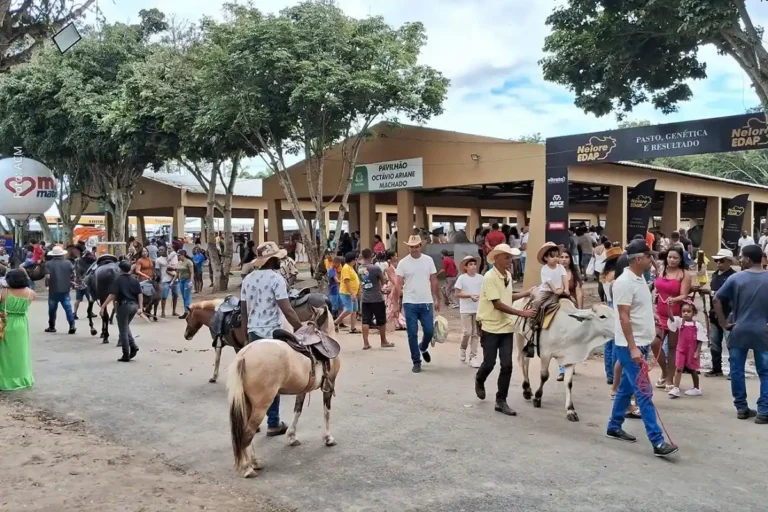 Feira de Santana Antecipação da Expofeira 2026: Um Passo Importante para o Agronegócio