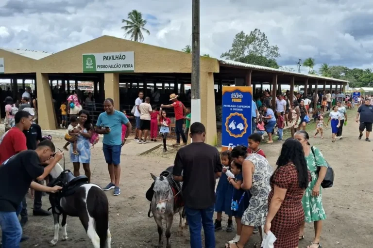 Feira de Santana Inicia Preparativos para a Expofeira 2026 com Nova Comissão Organizadora Feira de Santana Inicia Preparativos para a Expofeira 2026 com Nova Comissão Organizadora