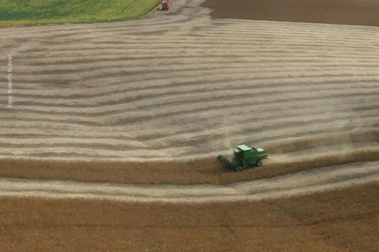 Guerra no Oriente Médio Pode Elevar Custos do Agronegócio Brasileiro, Alerta FAEP