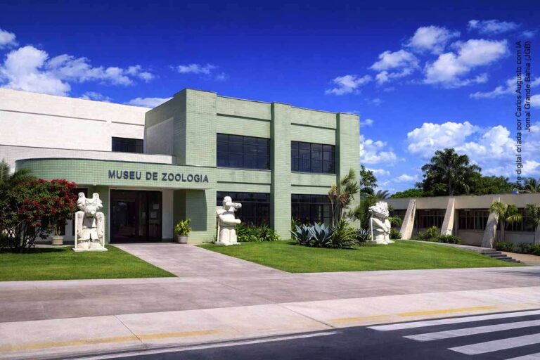 Museu de Zoologia da UEFS: Acervo Científico de Mais de 40 Mil Insetos e Visitas Orientadas Museu de Zoologia da UEFS: Acervo Científico de Mais de 40 Mil Insetos e Visitas Orientadas