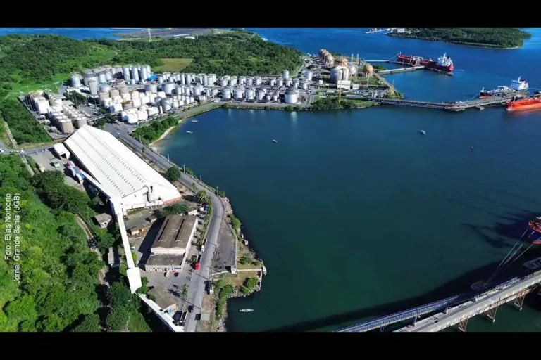 Porto de Aratu inicia operações de granéis vegetais e projeta movimentação de 3 milhões de toneladas